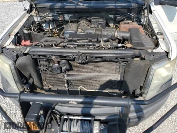 2010 Ford F-150 XL with VIN 1FTFX1EV8AKE21812, listed as a Copart auction lot 71583435 with 244,496 mi miles and Salvage title. Bid and sale history available at DreamBid. Image 11.