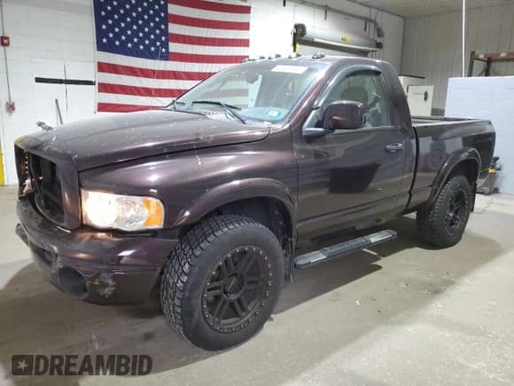 2004 Dodge 1500 SLT with VIN 1D7HU16D44J149136, listed as a Copart auction lot 60623995 with 113,066 mi miles and Salvage title. Bid and sale history available at DreamBid. Image 1.