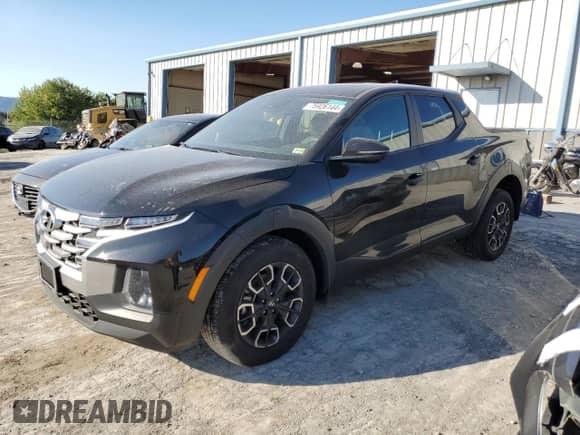 2024 Hyundai Santa Cruz SEL с VIN 5NTJBDAE0RH081096, выставлен на аукционе Copart как лот 75926144 с пробегом 9 702 миль миль и Списание • Salvage title. История ставок и продаж доступна на DreamBid. Изображение 1.