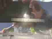 2016 Subaru Impreza Special Sports Limited with VIN JF1GPAY64G8347793, listed as a IAAI auction lot 42215619 with 77,015 mi miles and . Bid and sale history available at DreamBid. Image 9.