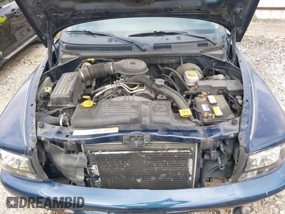 2003 Dodge Dakota Sport z VIN 1D7HL38X73S350060, wystawiony jako IAAI lot #42637905 z przebiegiem 189 251 mil mil oraz . Historia ofert i sprzedaży dostępna na DreamBid. Obrazek 10.