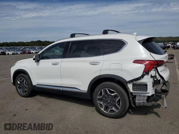 2022 Hyundai Santa Fe Limited with VIN KM8S5DA12NU018620, listed as a Copart auction lot 80389225 with 28,867 mi miles and Salvage title. Bid and sale history available at DreamBid. Image 2.
