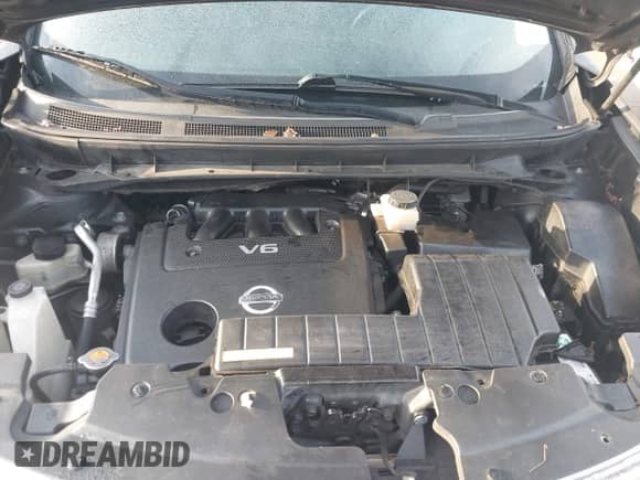 2009 Nissan Murano S с VIN JN8AZ18U79W012524, выставлен на аукционе IAAI как лот 43405155 с пробегом 256 667 миль миль и . История ставок и продаж доступна на DreamBid. Изображение 10.