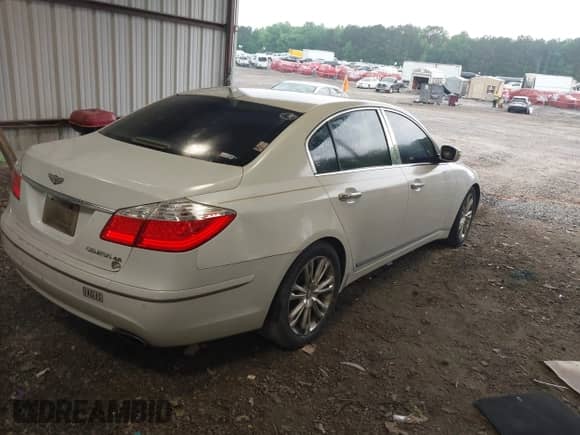 2010 Hyundai Genesis z VIN KMHGC4DF9AU109669, wystawiony jako IAAI lot #42299660 z przebiegiem 145 912 mil mil oraz . Historia ofert i sprzedaży dostępna na DreamBid. Obrazek 4.