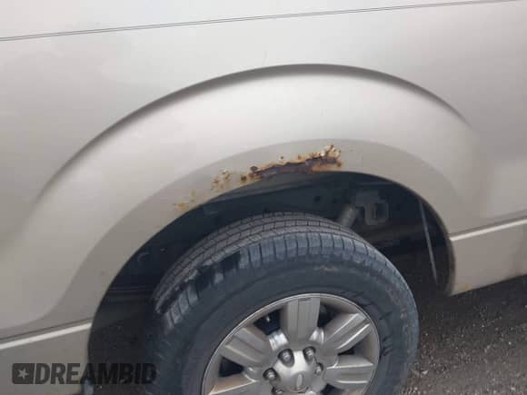 2009 Ford F-150 XL with VIN 1FTRW12889FA44630, listed as a IAAI auction lot 42434615 with 266,580 mi miles and . Bid and sale history available at DreamBid. Image 18.