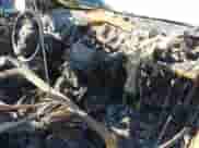 2014 Hyundai Elantra with VIN KMHDH6AH7EU027077, listed as a IAAI auction lot 42883726 with Not provided miles and . Bid and sale history available at DreamBid. Image 5.