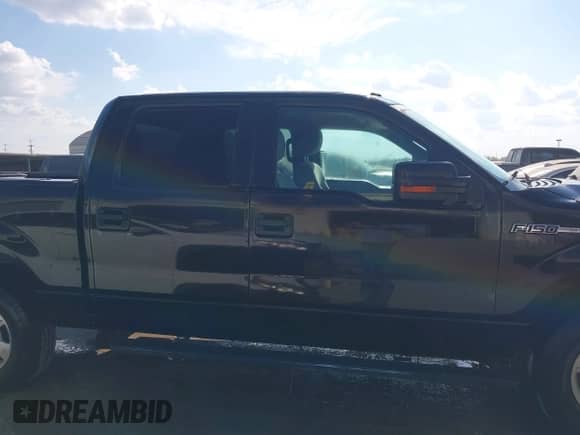 2010 Ford F-150 XL with VIN 1FTEW1C89AFD84502, listed as a IAAI auction lot 43412945 with 281,016 mi miles and . Bid and sale history available at DreamBid. Image 13.