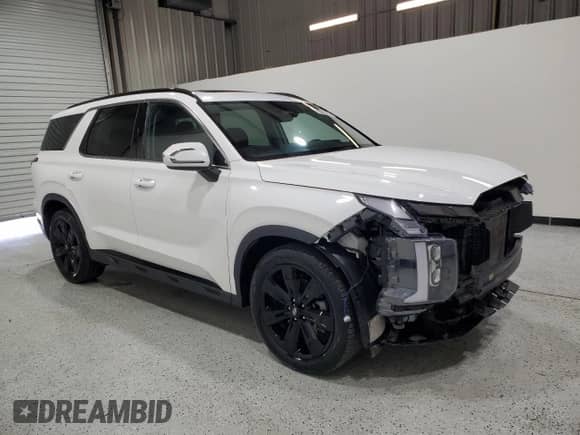 2024 Hyundai Palisade XRT with VIN KM8R3DGE3RU689167, listed as a Copart auction lot 86103275 with 43,877 mi miles and Clean title. Bid and sale history available at DreamBid. Image 4.