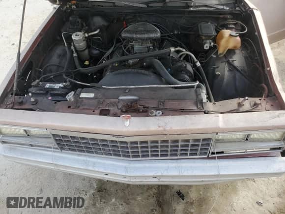 1982 Chevrolet El Camino с VIN 1GCCW80HXCR198571, выставлен на аукционе Copart как лот 77004474 с пробегом 70 899 миль миль и Списание • Salvage title. История ставок и продаж доступна на DreamBid. Изображение 11.