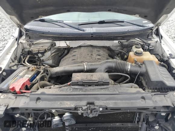 2013 Ford F-150 XL с VIN 1FTFX1ET9DFB15343, выставлен на аукционе Copart как лот 58551955 с пробегом 284 965 миль миль и Списание • Salvage title. История ставок и продаж доступна на DreamBid. Изображение 11.