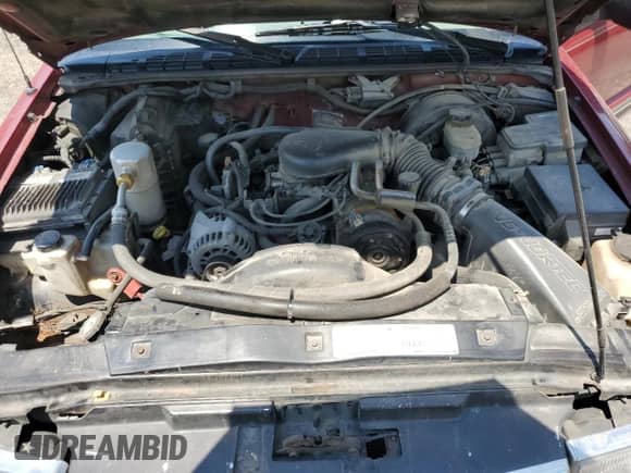 1998 Chevrolet Blazer LS with VIN 1GNCS13W3WK129447, listed as a Copart auction lot 66703964 with 162,783 mi miles and Salvage title. Bid and sale history available at DreamBid. Image 13.