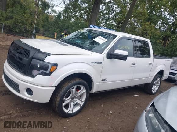 2011 Ford F-150 Lariat with VIN 1FTFW1E62BFA49969, listed as a IAAI auction lot 43404490 with 176,682 mi miles and . Bid and sale history available at DreamBid. Image 14.
