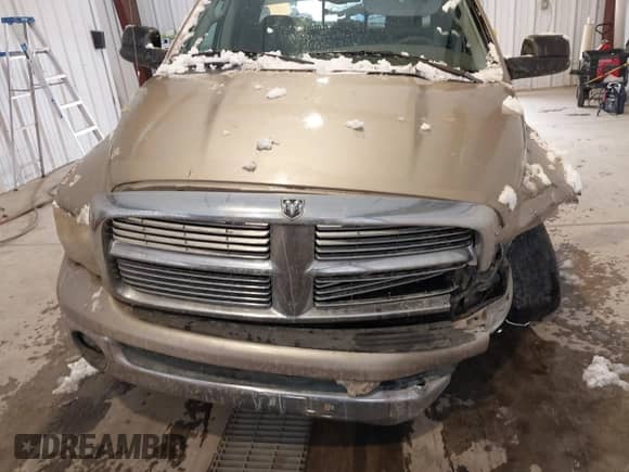 2003 Dodge RAM with VIN 1D3HA18N83J536402, listed as a IAAI auction lot 41282168 with 261,665 mi miles and . Bid and sale history available at DreamBid. Image 12.