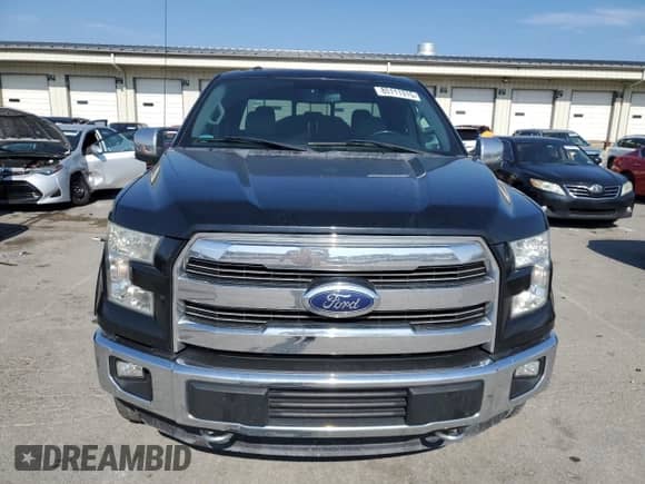 2016 Ford F-150 XLT z VIN 1FTFX1EF4GFA99406, wystawiony jako Copart lot #85111315 z przebiegiem 225 855 mil mil oraz Szkoda całkowita • Salvage title. Historia ofert i sprzedaży dostępna na DreamBid. Obrazek 5.
