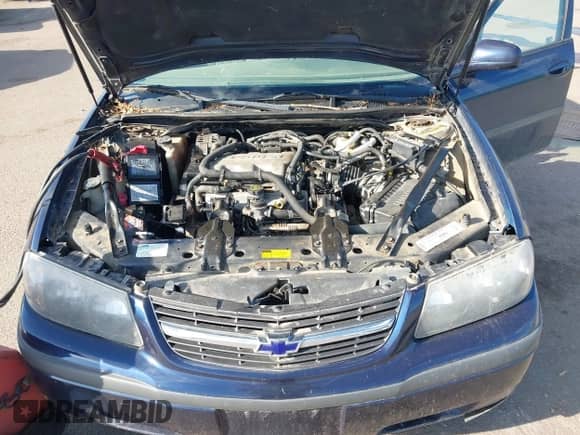 2000 Chevrolet Impala с VIN 2G1WF55E6Y9129476, выставлен на аукционе IAAI как лот 42546460 с пробегом 202 943 миль миль и . История ставок и продаж доступна на DreamBid. Изображение 10.