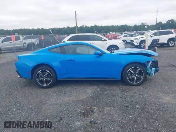 2024 Ford Mustang EcoBoost с VIN 1FA6P8TH8R5143368, выставлен на аукционе IAAI как лот 43025741 с пробегом 9 326 миль миль и . История ставок и продаж доступна на DreamBid. Изображение 14.