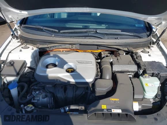 2019 Hyundai Sonata Limited с VIN KMHE34L3XKA089756, выставлен на аукционе IAAI как лот 43363886 с пробегом 69 030 миль миль и . История ставок и продаж доступна на DreamBid. Изображение 10.