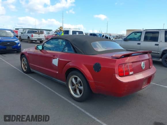 2005 Ford Mustang Deluxe с VIN 1ZVFT84N855231273, выставлен на аукционе IAAI как лот 43504723 с пробегом 162 784 миль миль и . История ставок и продаж доступна на DreamBid. Изображение 3.