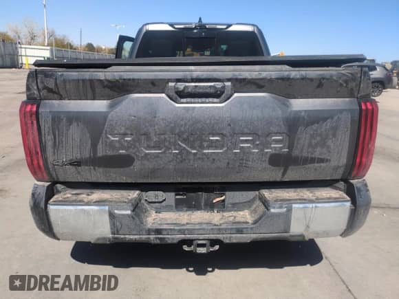 2023 Toyota Tundra SR5 with VIN 5TFLA5DA2PX119857, listed as a Copart auction lot 51942595 with Not provided miles and Salvage title. Bid and sale history available at DreamBid. Image 6.