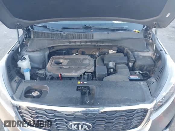 2019 Kia Sorento LX with VIN 5XYPGDA36KG435581, listed as a IAAI auction lot 43564419 with 187,172 mi miles and . Bid and sale history available at DreamBid. Image 10.