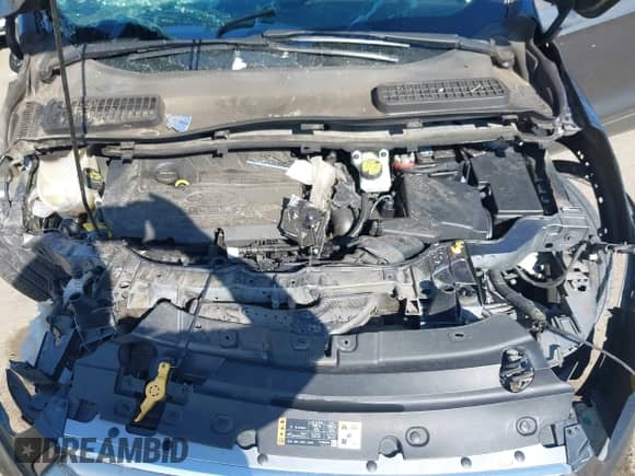 2017 Ford Escape SE с VIN 1FMCU9GD3HUA51913, выставлен на аукционе IAAI как лот 43200596 с пробегом 123 226 миль миль и . История ставок и продаж доступна на DreamBid. Изображение 10.