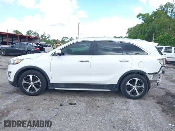 2017 Kia Sorento EX z VIN 5XYPH4A55HG320767, wystawiony jako IAAI lot #42963326 z przebiegiem 118 201 mil mil oraz . Historia ofert i sprzedaży dostępna na DreamBid. Obrazek 15.