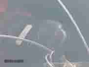 2016 Scion FR-S z VIN JF1ZNAA11G8701427, wystawiony jako IAAI lot #42621999 z przebiegiem 73 383 mil mil oraz . Historia ofert i sprzedaży dostępna na DreamBid. Obrazek 11.