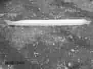 2016 Subaru WRX with VIN JF1VA1B62G9817931, listed as a IAAI auction lot 42381603 with 82,942 mi miles and . Bid and sale history available at DreamBid. Image 12.