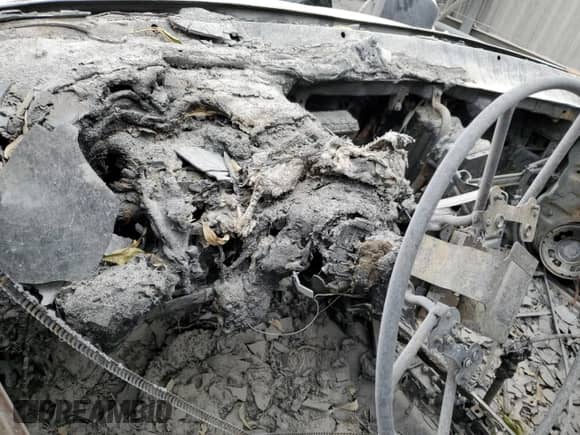 1990 Honda Civic с VIN 1HGED365XLA053660, выставлен на аукционе Copart как лот 72291214 с пробегом Не указан миль и На запчасти • Non repairable. История ставок и продаж доступна на DreamBid. Изображение 9.