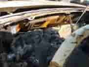 1996 Ford F-150 с VIN 1FTEF14N1TLA06585, выставлен на аукционе IAAI как лот 42393211 с пробегом Не указан миль и . История ставок и продаж доступна на DreamBid. Изображение 7.