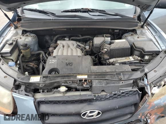 2009 Hyundai Santa Fe GLS with VIN 5NMSG73D29H242992, listed as a Copart auction lot 81956795 with 155,591 mi miles and Salvage title. Bid and sale history available at DreamBid. Image 12.