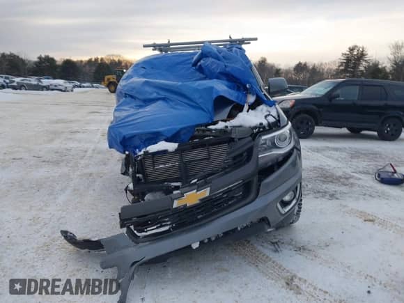 2019 Chevrolet Colorado 4WD Z71 with VIN 1GCPTDE15K1320605, listed as a IAAI auction lot 41354670 with Not provided miles and . Bid and sale history available at DreamBid. Image 12.