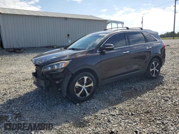 2016 Kia Sorento EX с VIN 5XYPH4A52GG134361, выставлен на аукционе Copart как лот 80134605 с пробегом 205 280 миль миль и Списание • Salvage title. История ставок и продаж доступна на DreamBid. Изображение 1.