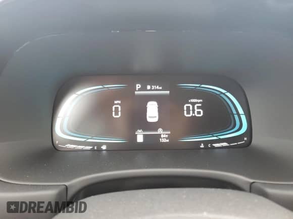 2025 Hyundai Palisade XRT with VIN KM8R3DGE0SU834851, listed as a Copart auction lot 69666385 with 132 mi miles and Salvage title. Bid and sale history available at DreamBid. Image 9.