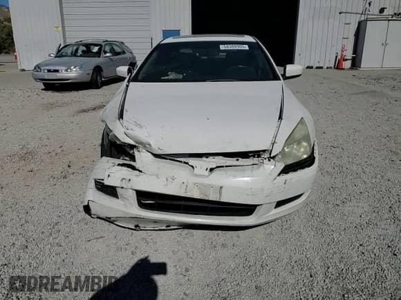2003 Honda Accord EX with VIN 1HGCM72663A026582, listed as a Copart auction lot 68388905 with Not provided miles and Salvage title. Bid and sale history available at DreamBid. Image 13.