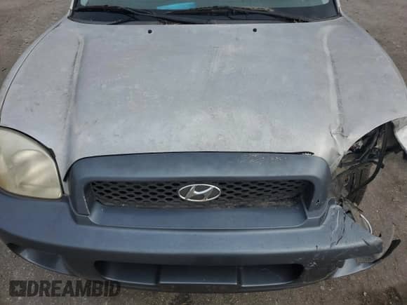 2002 Hyundai Santa Fe GLS с VIN KM8SC13D22U303504, выставлен на аукционе Copart как лот 85939914 с пробегом 356 088 миль миль и Списание • Salvage title. История ставок и продаж доступна на DreamBid. Изображение 13.