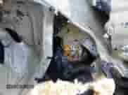 2018 Chevrolet Tahoe Premier с VIN 1GNSKCKC6JR311951, выставлен на аукционе IAAI как лот 42559374 с пробегом Не указан миль и . История ставок и продаж доступна на DreamBid. Изображение 12.