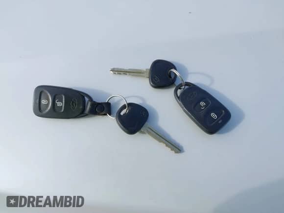 2008 Hyundai Santa Fe SE с VIN 5NMSH13E58H141382, выставлен на аукционе IAAI как лот 43373724 с пробегом 209 121 миль миль и . История ставок и продаж доступна на DreamBid. Изображение 11.