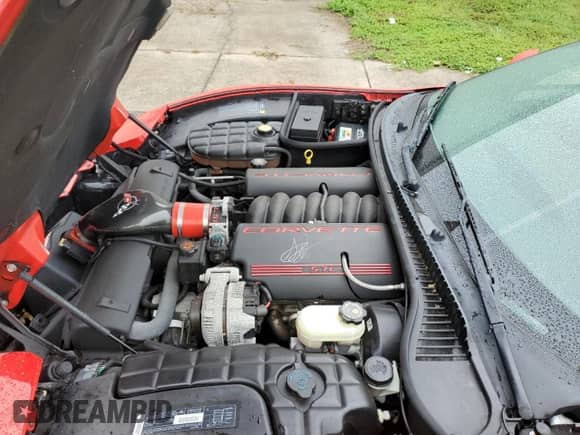 1999 Chevrolet Corvette with VIN 1G1YY32G3X5120727, listed as a Copart auction lot 74488604 with Not provided miles and Salvage title. Bid and sale history available at DreamBid. Image 11.