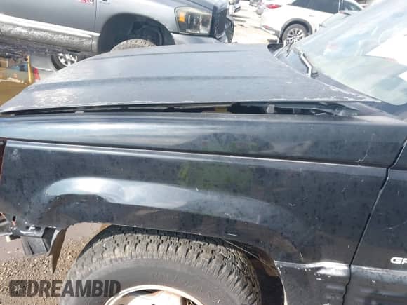 1998 Jeep Grand Cherokee с VIN 1J4FX48SXWC299291, выставлен на аукционе IAAI как лот 43122863 с пробегом 204 231 миль миль и . История ставок и продаж доступна на DreamBid. Изображение 6.