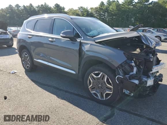 2021 Hyundai Santa Fe Limited with VIN 5NMS4DAL9MH360385, listed as a Copart auction lot 69620425 with 75,591 mi miles and Salvage title. Bid and sale history available at DreamBid. Image 4.