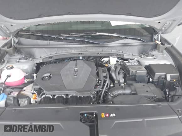 2025 Hyundai Tucson SE с VIN 5NMJA3DE7SH568290, выставлен на аукционе IAAI как лот 42884587 с пробегом 1 973 миль миль и . История ставок и продаж доступна на DreamBid. Изображение 10.