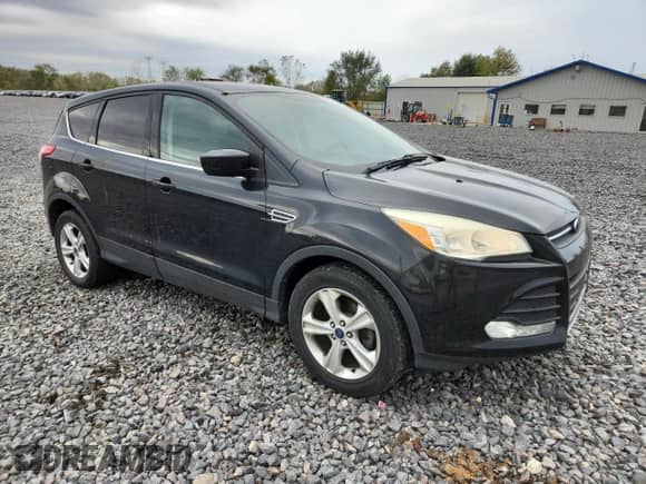 2014 Ford Escape SE with VIN 1FMCU0GX4EUC01545, listed as a Copart auction lot 82505565 with 181,228 mi miles and Clean title. Bid and sale history available at DreamBid. Image 4.