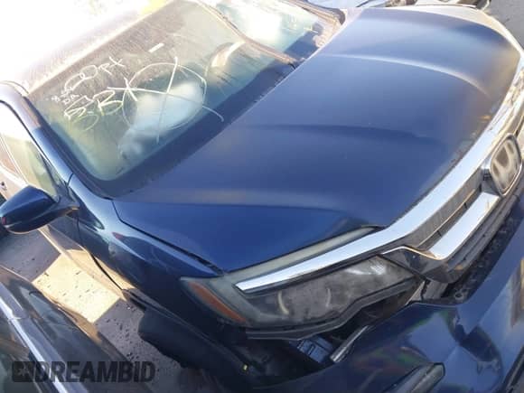 2019 Honda Pilot EX with VIN 5FNYF5H36KB026796, listed as a IAAI auction lot 43176624 with Not provided miles and . Bid and sale history available at DreamBid. Image 1.