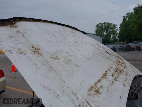2006 Chevrolet TrailBlazer LS z VIN 1GNET16S666146802, wystawiony jako IAAI lot #42432624 z przebiegiem 221 924 mil mil oraz . Historia ofert i sprzedaży dostępna na DreamBid. Obrazek 6.