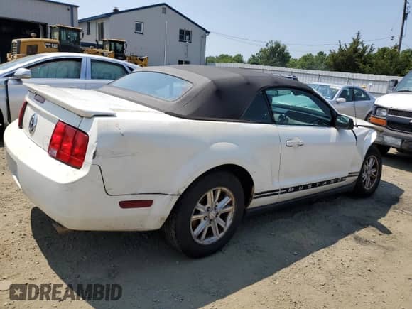 2008 Ford Mustang Deluxe with VIN 1ZVHT84N085149423, listed as a Copart auction lot 64085565 with 96,712 mi miles and Salvage title. Bid and sale history available at DreamBid. Image 3.