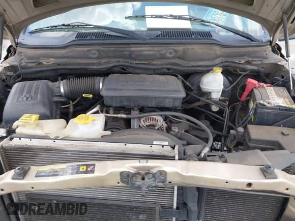 2004 Dodge 1500 SLT with VIN 1D7HA18N14S771931, listed as a IAAI auction lot 43096624 with 317,808 mi miles and . Bid and sale history available at DreamBid. Image 10.