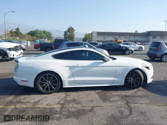 2017 Ford Mustang EcoBoost with VIN 1FA6P8TH8H5344749, listed as a IAAI auction lot 42974115 with 85,969 mi miles and . Bid and sale history available at DreamBid. Image 13.