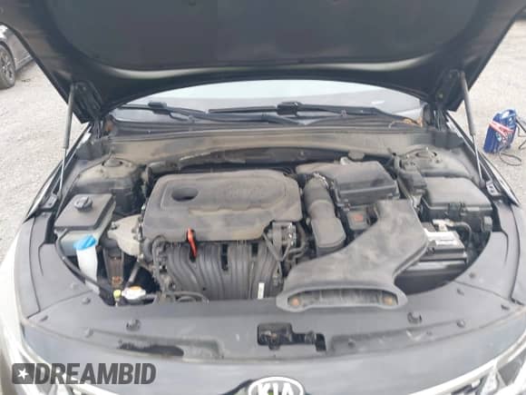 2016 Kia Optima EX with VIN 5XXGU4L38GG045521, listed as a IAAI auction lot 43331308 with 147,004 mi miles and . Bid and sale history available at DreamBid. Image 10.