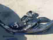 2020 BMW 3 Series 330i with VIN WBA5R1C08LFH40491, listed as a IAAI auction lot 43519170 with 52,329 mi miles and . Bid and sale history available at DreamBid. Image 12.